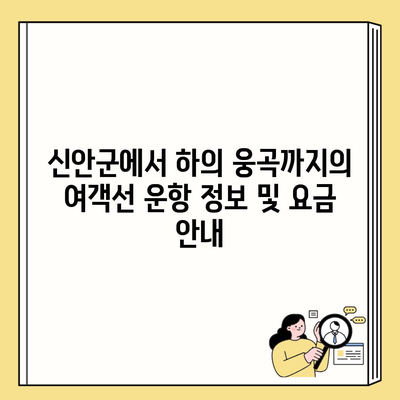 신안군에서 하의 웅곡까지의 여객선 운항 정보 및 요금 안내