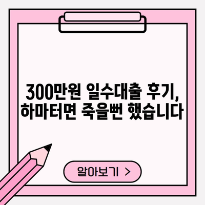 300만원 일수대출 후기, 하마터면 죽을뻔 했습니다