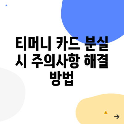 티머니 카드 분실 시 주의사항 해결 방법