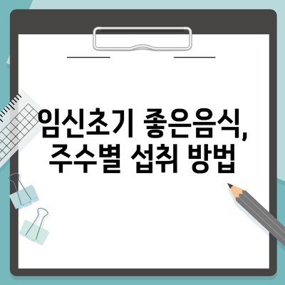 임신초기 좋은음식, 주수별 섭취 방법