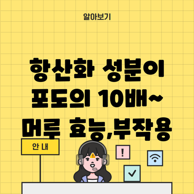 항산화 성분이 포도의 10배~ 머루 효능,부작용