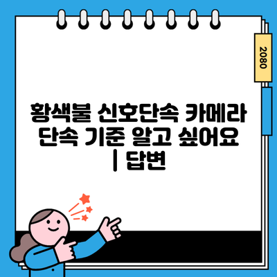 황색불 신호단속 카메라 단속 기준 알고 싶어요 | 답변