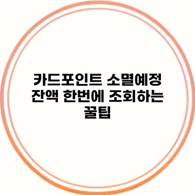 카드포인트 소멸예정 잔액 한번에 조회하는 꿀팁