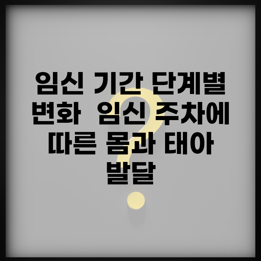 임신 기간 단계별 변화 | 임신 주차에 따른 몸과 태아 발달