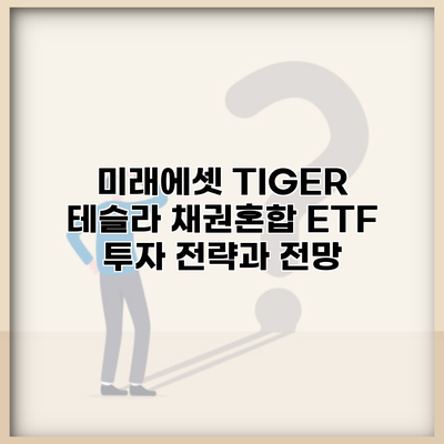 미래에셋 TIGER 테슬라 채권혼합 ETF 투자 전략과 전망