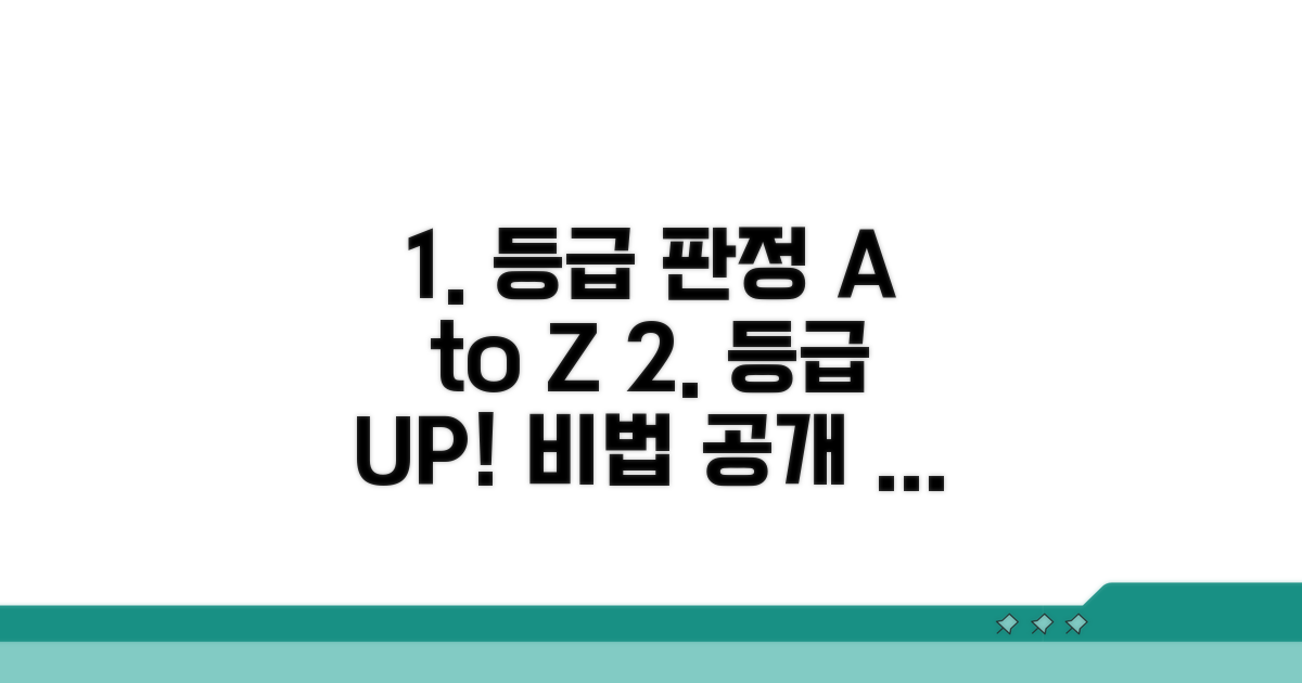 등급 판정 기준과 관리 방법 상세 안내