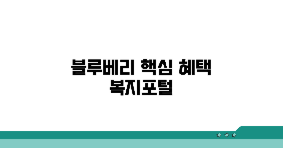 블루베리 복지포털 핵심 혜택