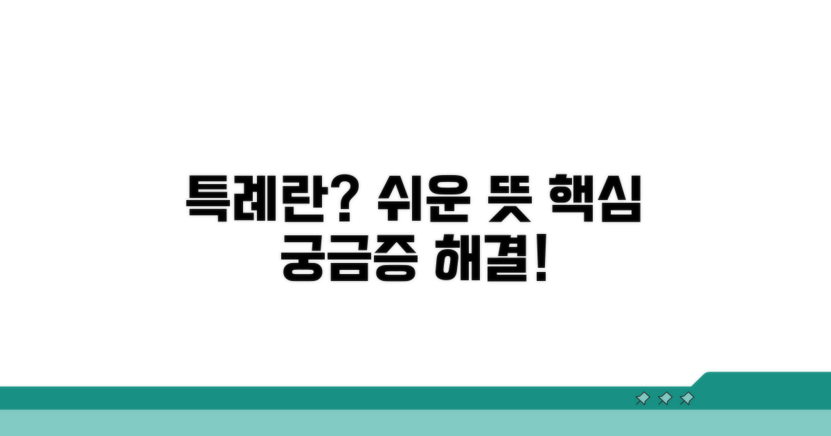 특례 뜻과 핵심 개념