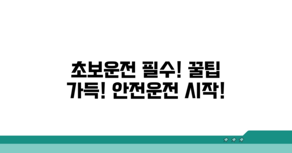 초보 운전자 주의사항과 팁