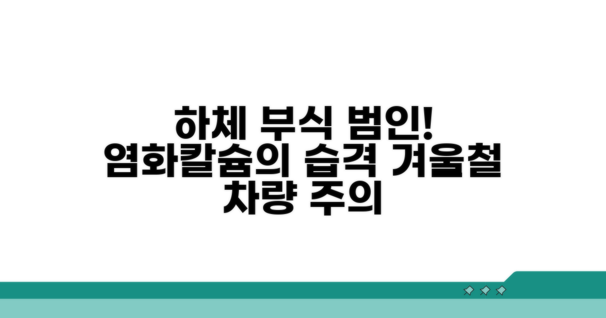 겨울철 염화칼슘, 하체 부식의 주범