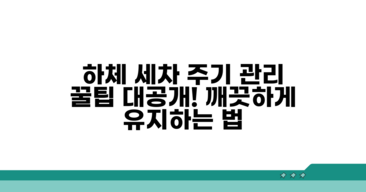 올바른 하체 세차 주기와 관리 꿀팁