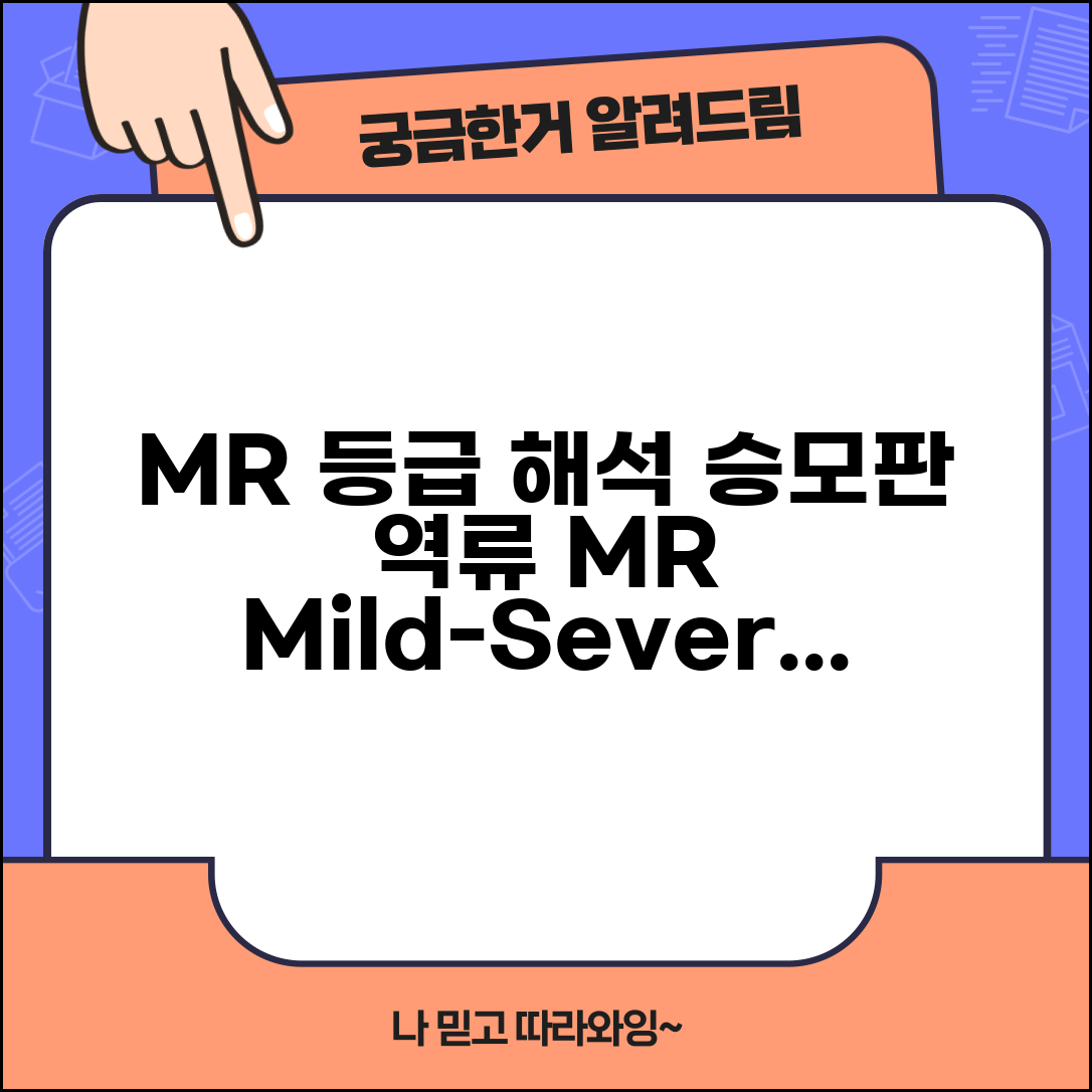 심장초음파 승모판역류 MR 등급 해석 | 승모판 폐쇄부전 mild moderate severe