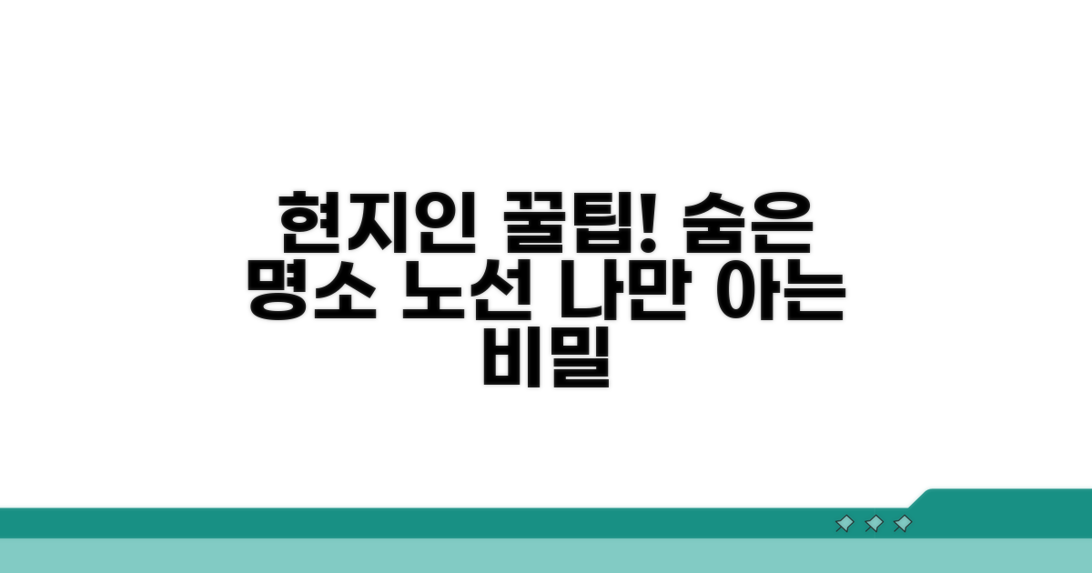 현지인 추천 숨은 노선 정보
