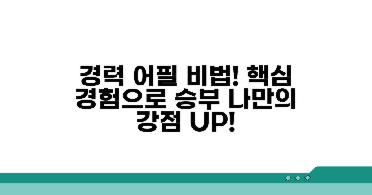 경력 및 경험 어필 방법