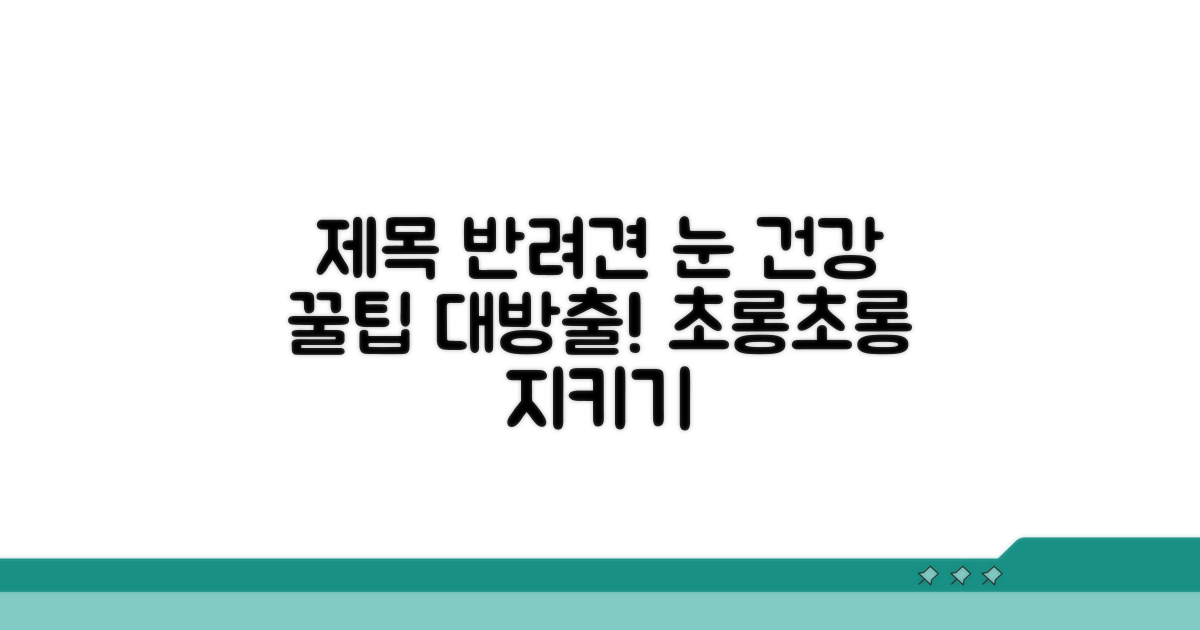 반려견 눈 건강 지키는 꿀팁